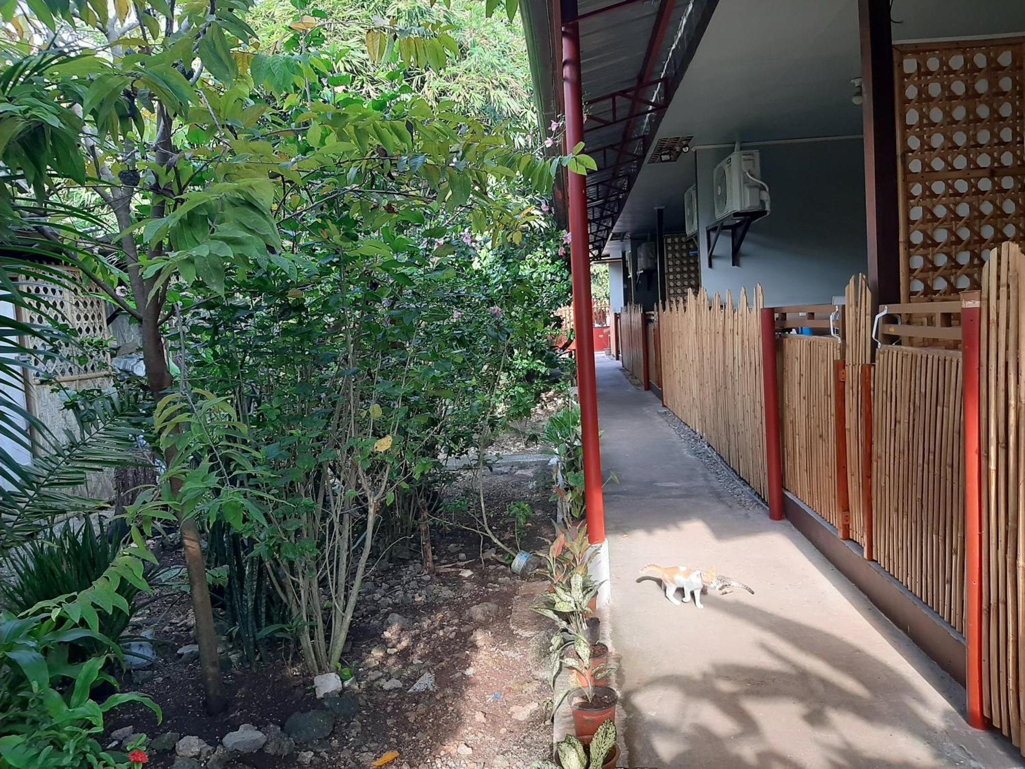 Alimpay Foresters Apartment Panglao Island Exterior photo